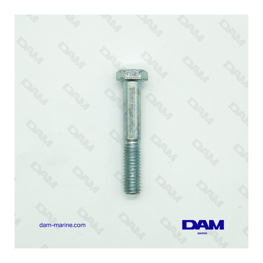 SCREW 5/16-18 X 2