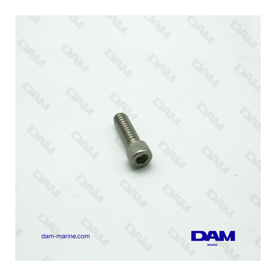 VOLVO BASE WATER INLET SCREW