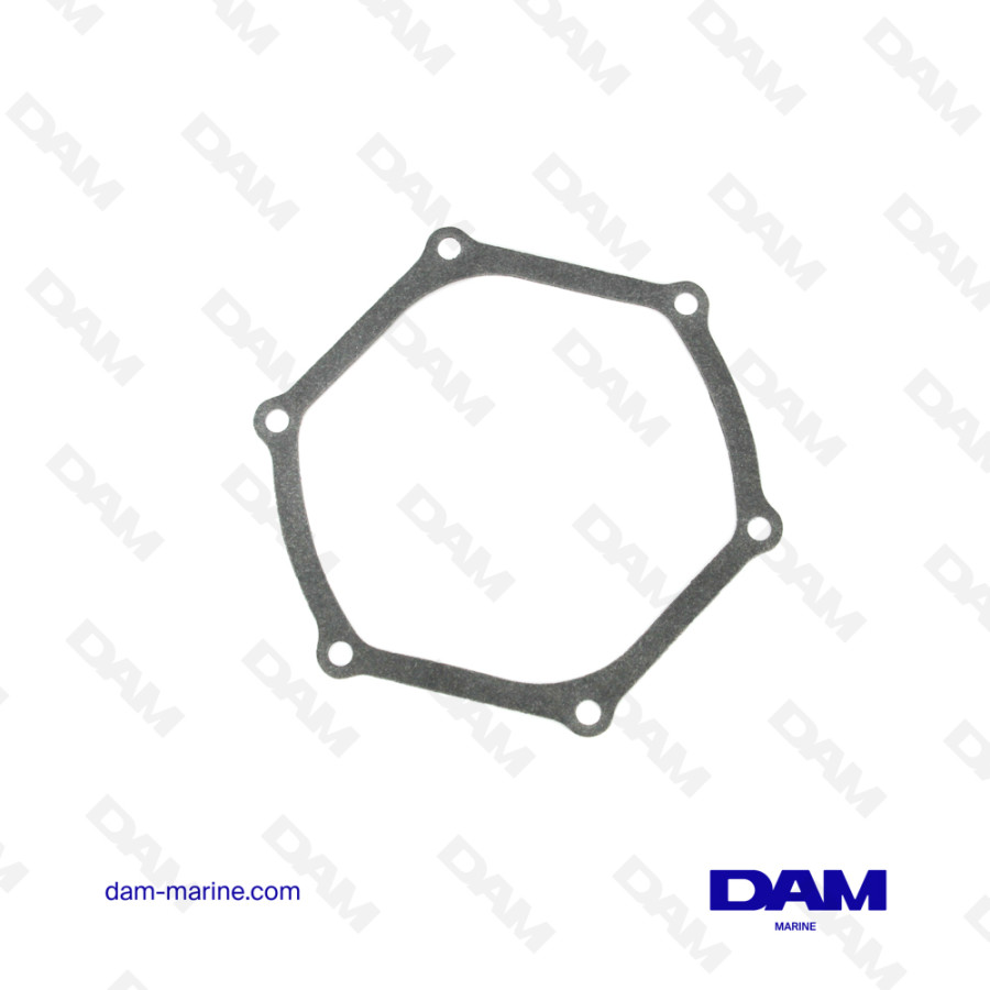 GASKET, MIXING PUMP W30109