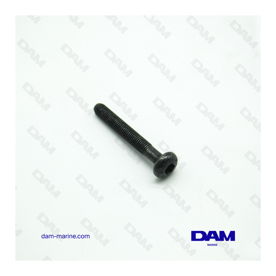 ROCKER COVER SCREW 6P