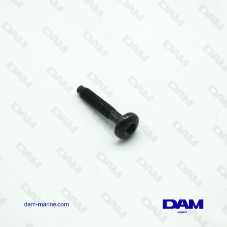 ROCKER COVER SCREW 6P