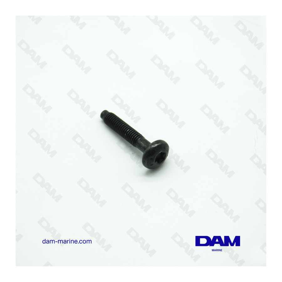 ROCKER COVER SCREW 6P