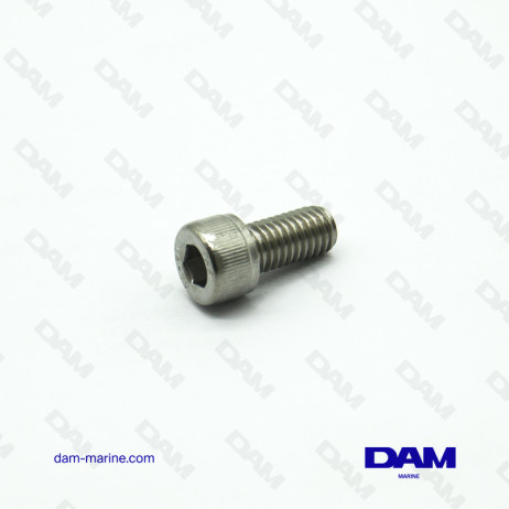 BTR SCREW M8-1.25 X 16