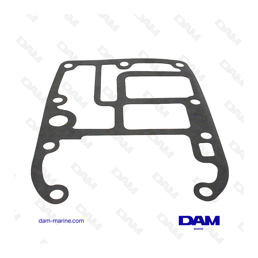 BRP DRIVE HEAD GASKET