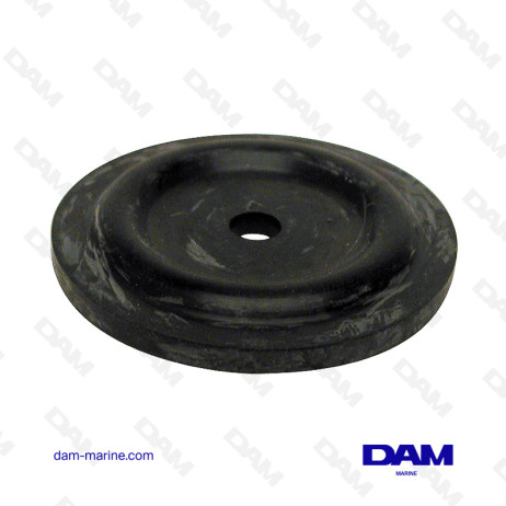 BRP VALVE DIAPHRAGM