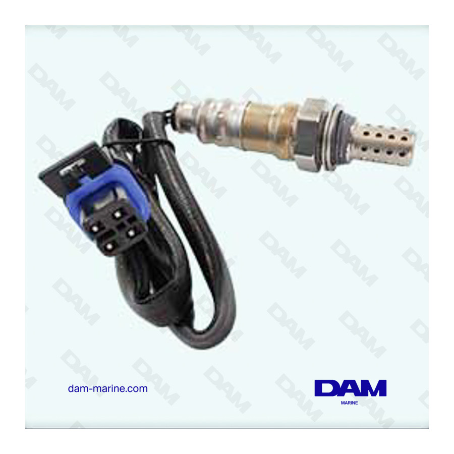 CATALYSIS OXYGEN SENSOR