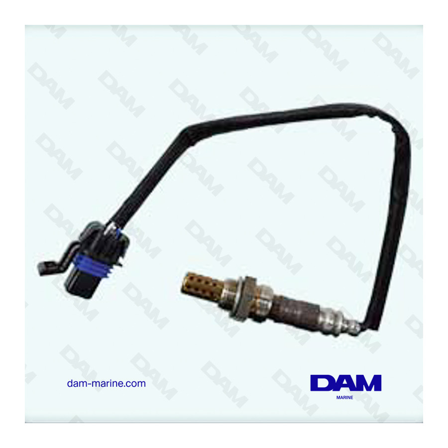 CATALYSIS OXYGEN SENSOR