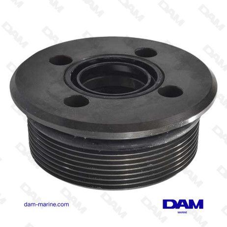 CYLINDER CAP BRP 0390006