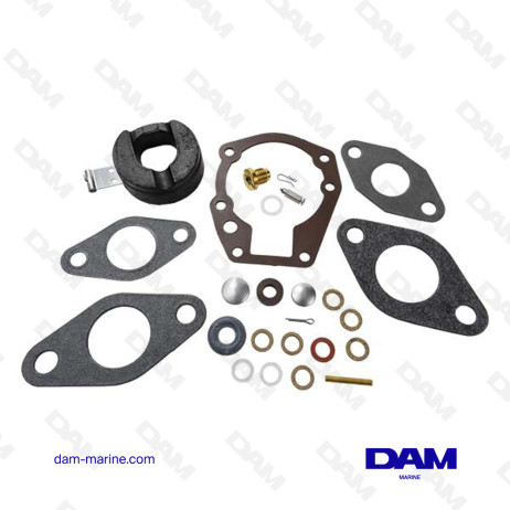 BRP CARBURETOR KIT