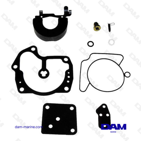 BRP CARBURETOR KIT