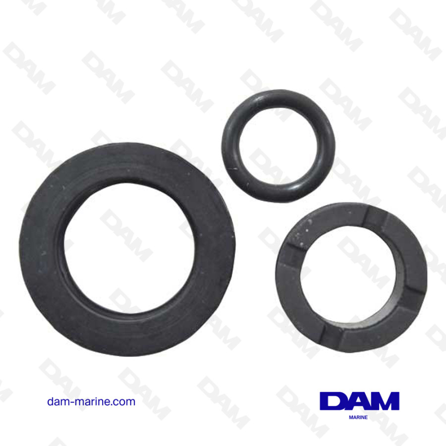 INJECTOR GASKET KIT