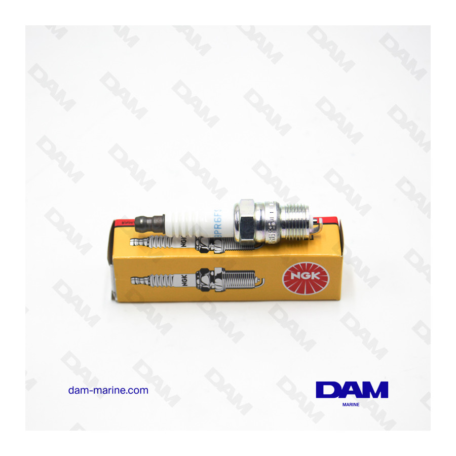 SPARK PLUG NGK BPR6FS