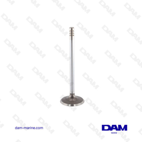 D - INTAKE VALVE