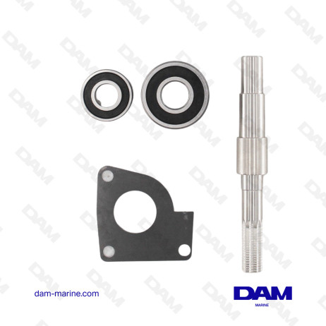 KIT AXE DE POMPE A EAU VOLVO D3 - 21951439