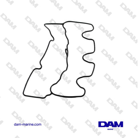 ROCKER COVER GASKET D1-30 3884548