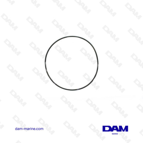 O-RING 48585-95E00