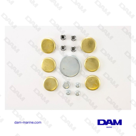 FORD V8 DESANDING PAD KIT