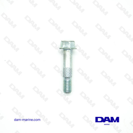 STARTER SCREW 4.5CM