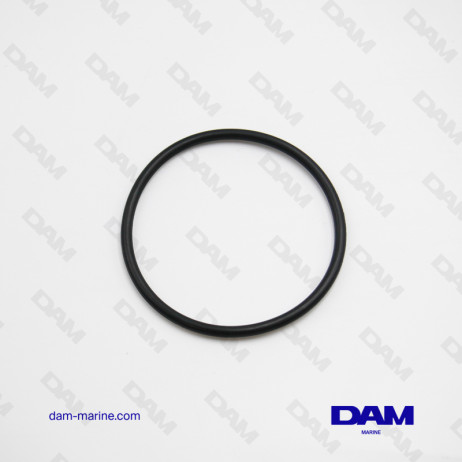 PCM O-RING