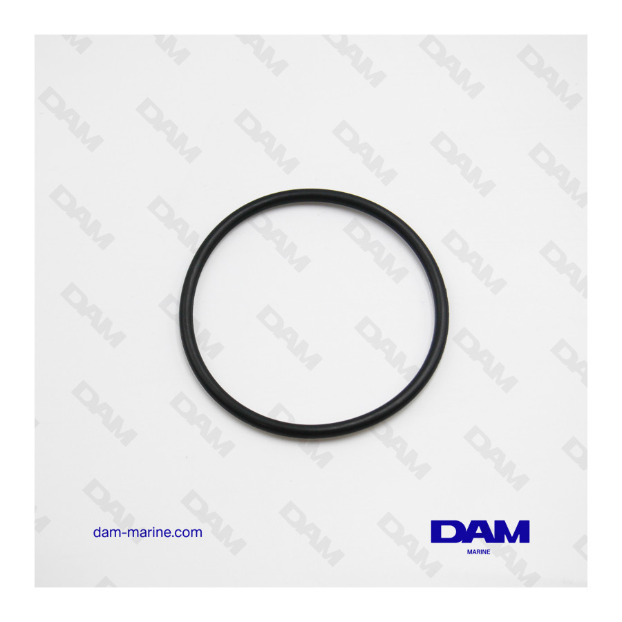 PCM O-RING