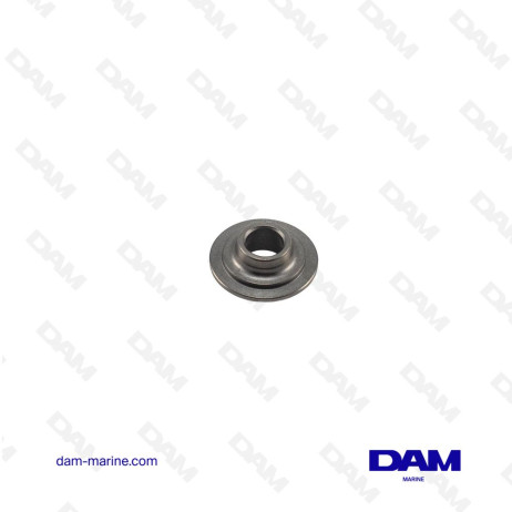 CUP SPRING GM LS VALVE