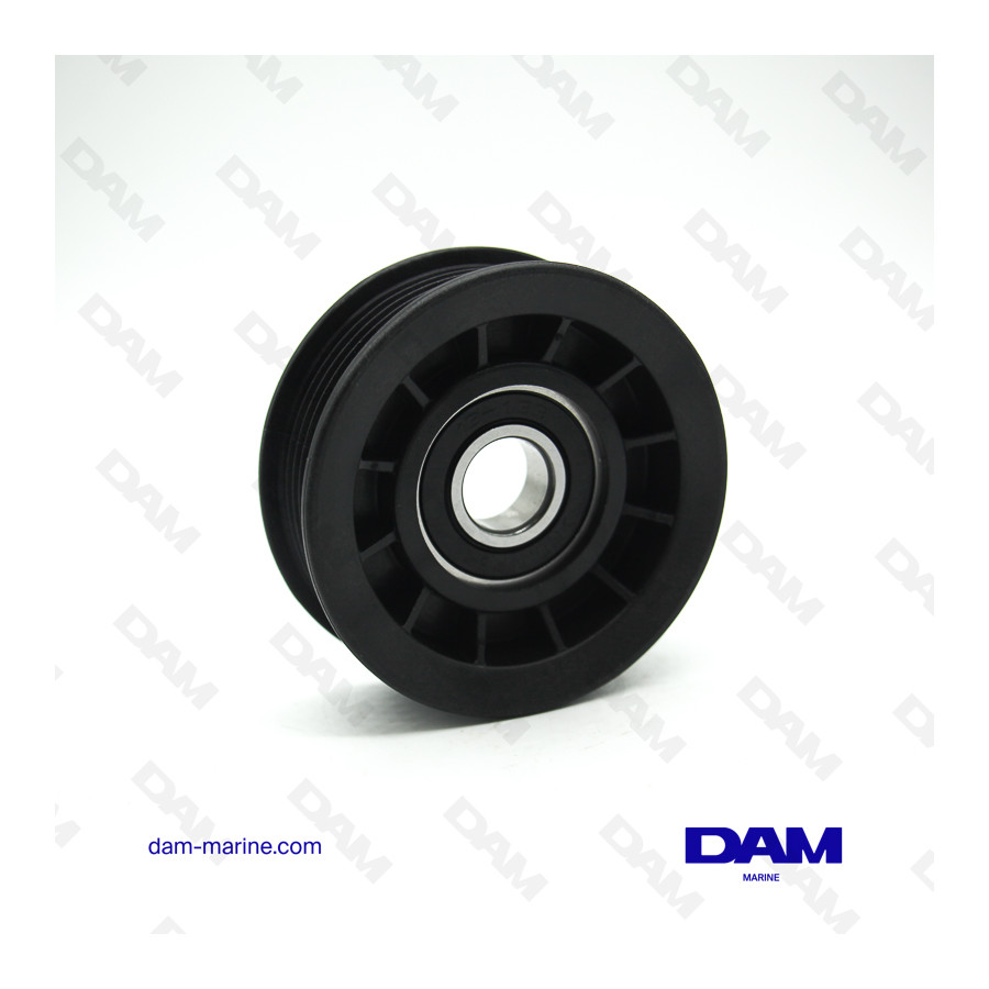 PCM TENSIONER PULLEY - STRIER