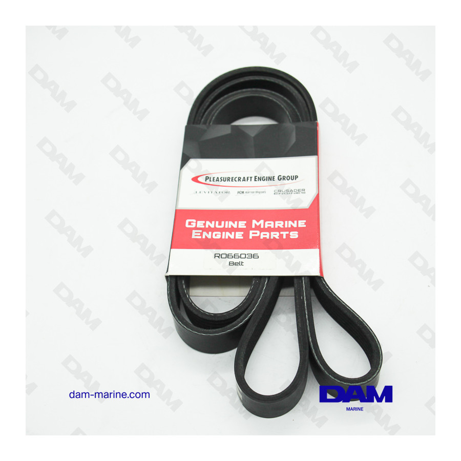 SERPENTINE BELT PCM 6.2L