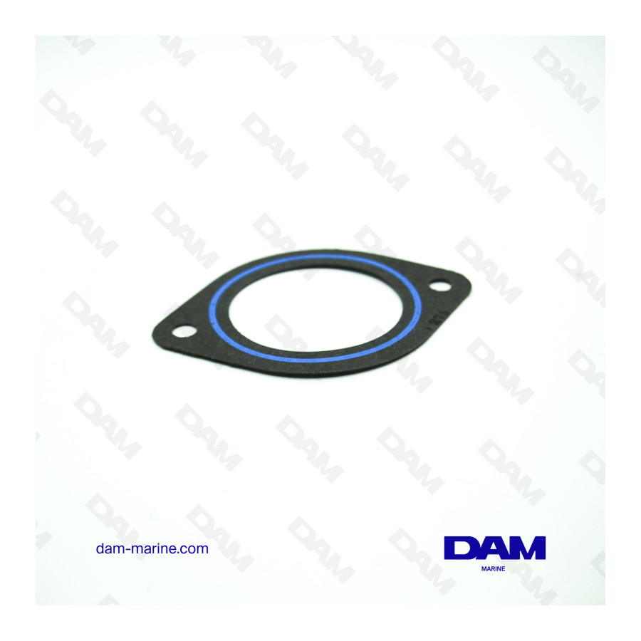 PCM THERMOSTAT CARTER GASKET