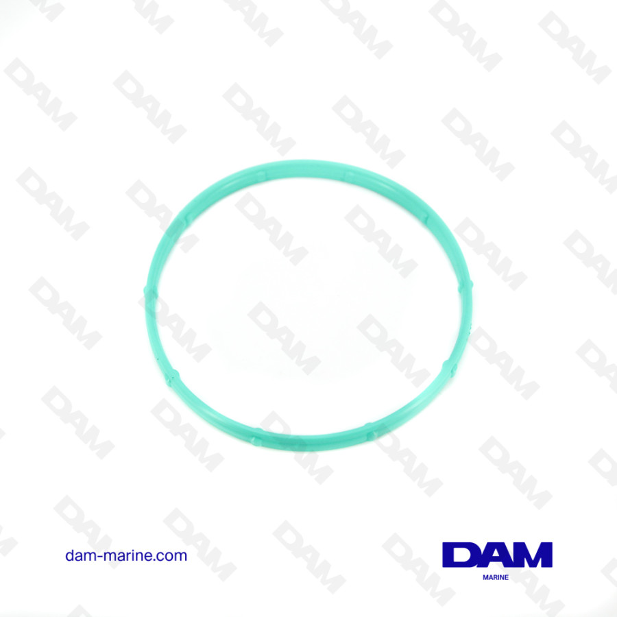 PCM INTAKE HOUSING GASKET