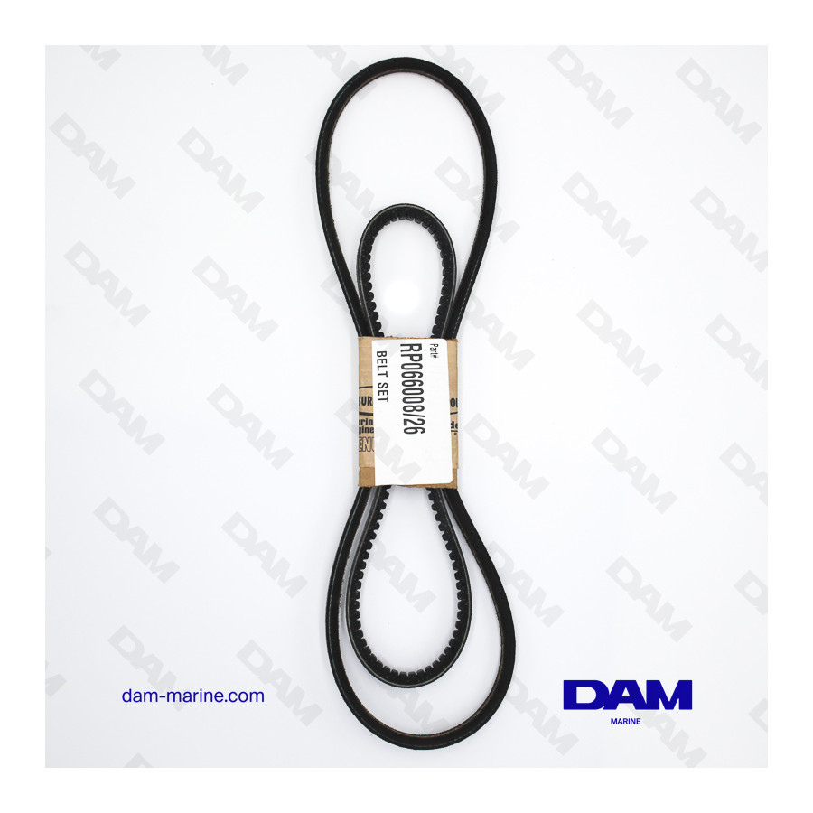 JUEGO DE CORREAS OEM PCM GM305-350