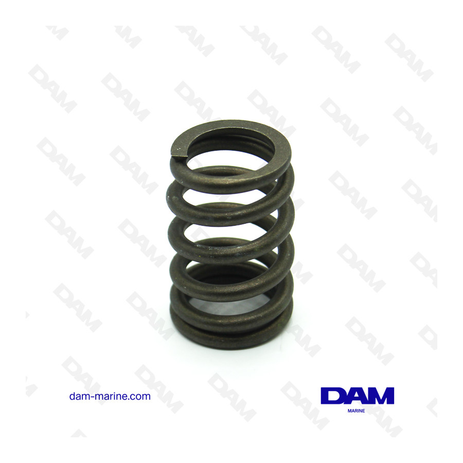 GM496 VALVE SPRING