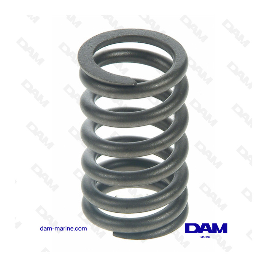 GM 225 VALVE SPRING