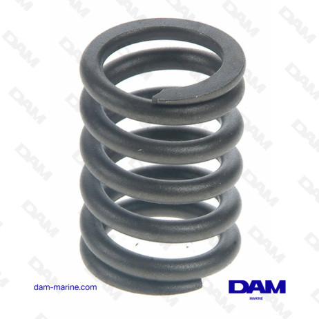 FORD VALVE SPRING