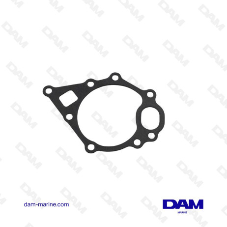 WATER PUMP GASKET VOLVO D1 - 3580001