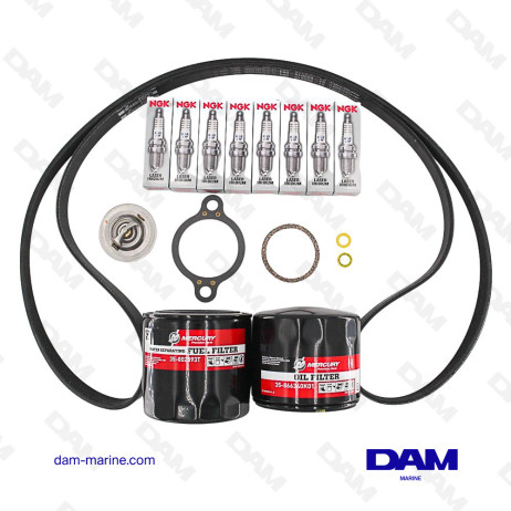 SERVICE KIT 300H V8MPI + ALPHA STD COOLING