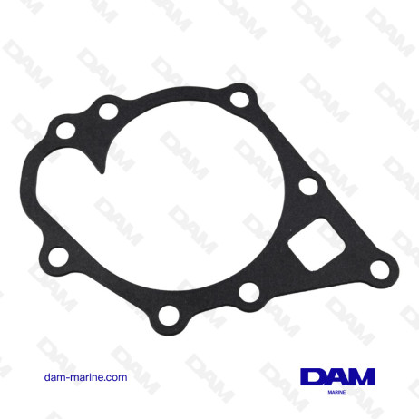 WATER PUMP GASKET VOLVO D1 - 3580003