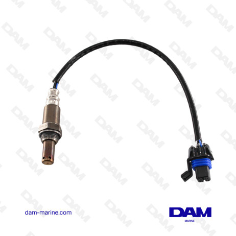 CATALYSIS OXYGEN SENSOR