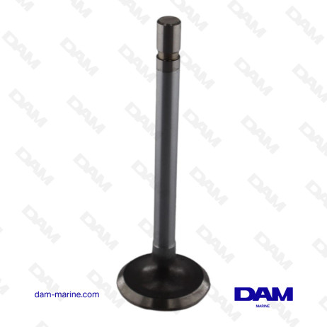 INTAKE VALVE VOLVO SERIES 2000