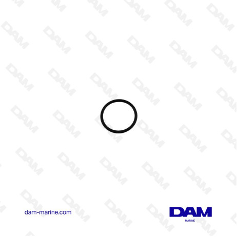 OIL CAP GASKET VOLVO 861897