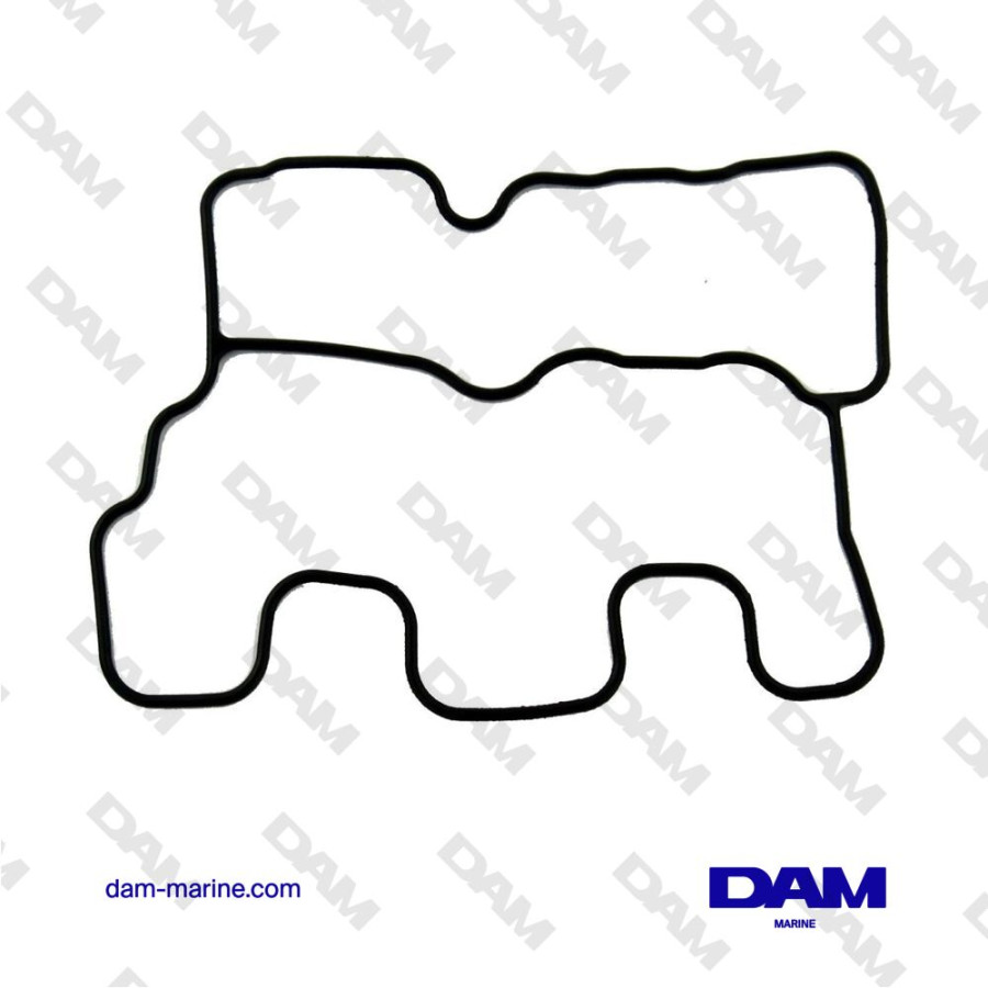 ROCKER COVER GASKET D1-13