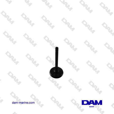 VOLVO D2 INTAKE VALVE