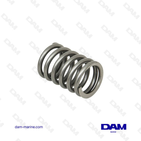 VOLVO VALVE SPRING - 829622