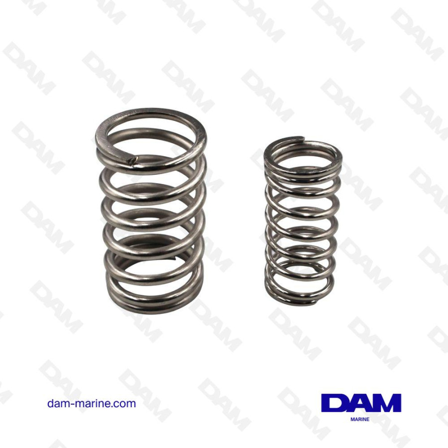 PERKINS 4108 VALVE SPRING KIT