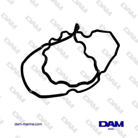 ROCKER COVER GASKET VOLVO - 1542287