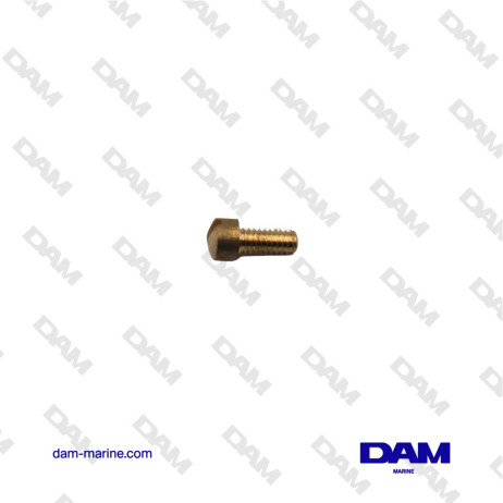 SEA WATER PUMP COVER SCREW 8/32 - 3/8