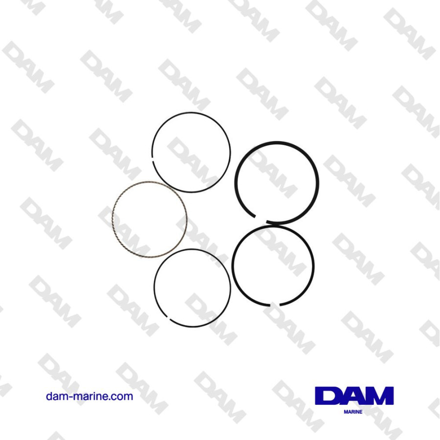 SEGMENTS GM364 V8 6L 0.20