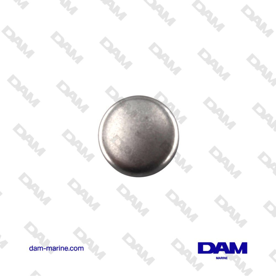 PASTILLE DE DESSABLAGE YANMAR 27243-300000