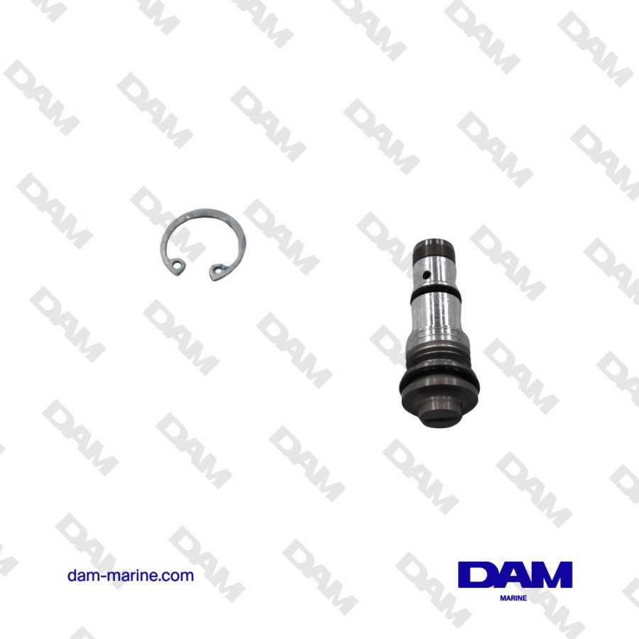 VALVE DECHARGE TRIM SUZUKI - 48864-96J10