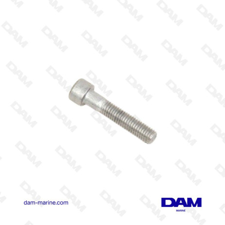 BTR SCREW VOLVO - 963699