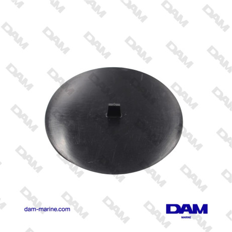 WATER FILTER PRESSURE PLATE - 842982